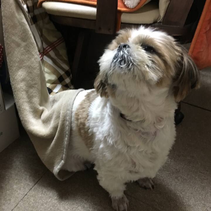 4f463e38 5cab 46a7 974c 06628b6cbdab 1514800123225