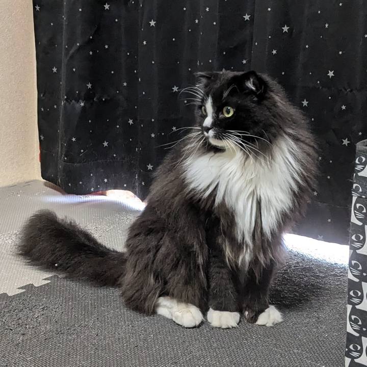 4f46500a db22 4bf7 8216 d6ee59ade21a 1722143827316