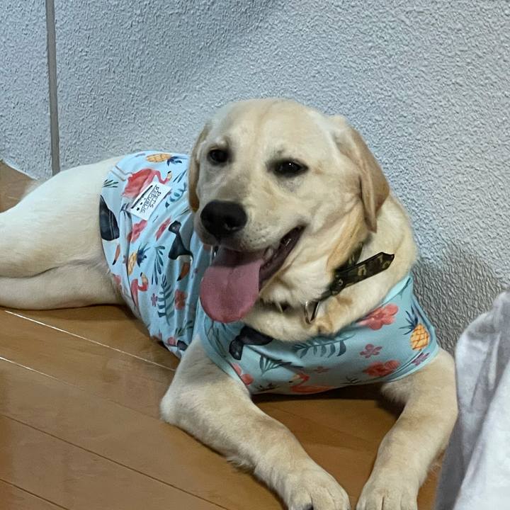 4f46aac6 ee5b 4e01 b74e e46edd820be9 1621775167606