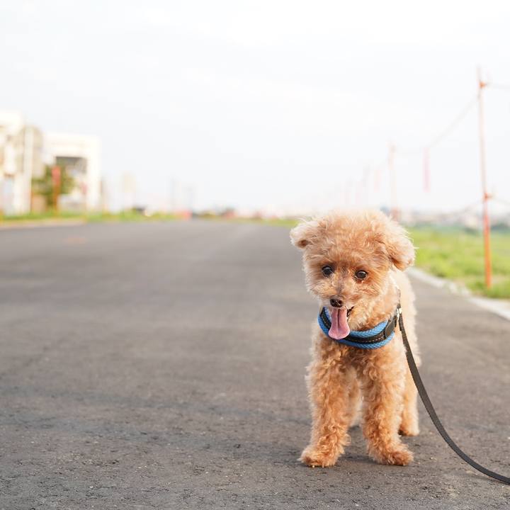 4f46d594 d9ed 47f2 9149 c5f7a71b5748 1665296949915