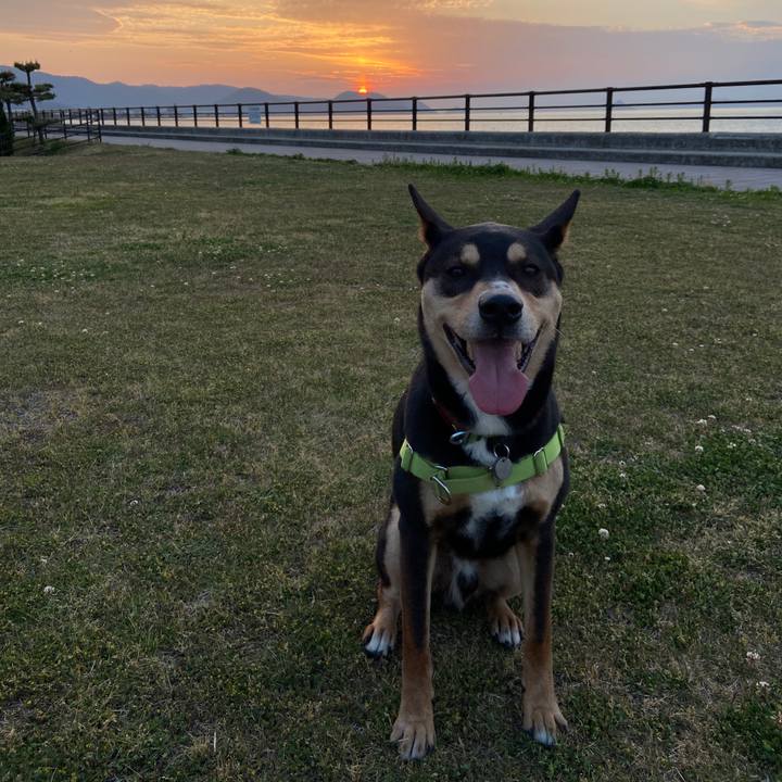 4f47056c 581b 4516 b6f5 3cbf0214df3e 1619271596235