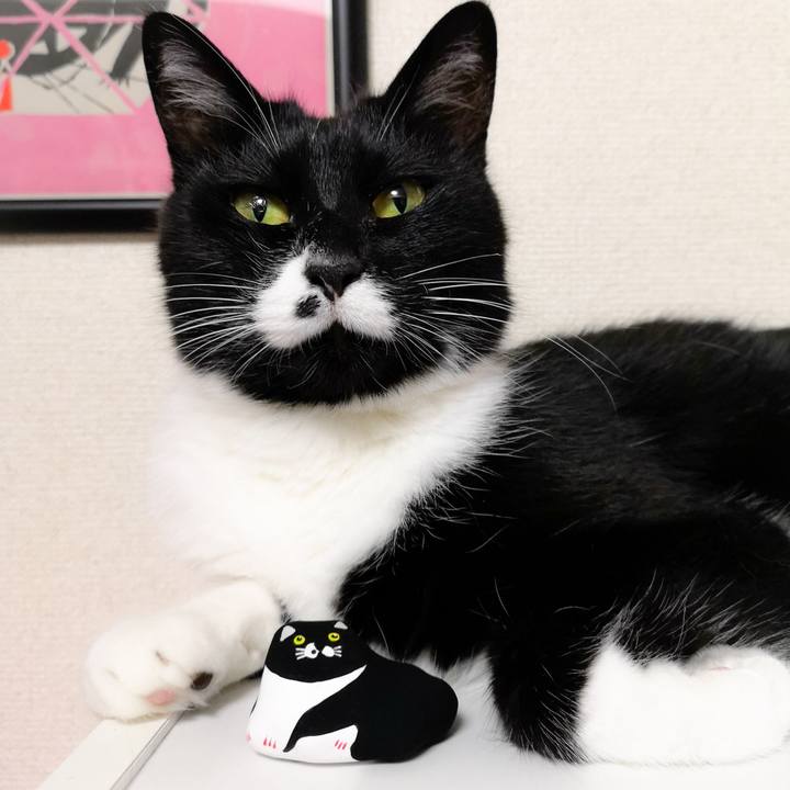 4f4706a4 8094 4b4e b6cb 9fda0fe5d86c 1591168305352