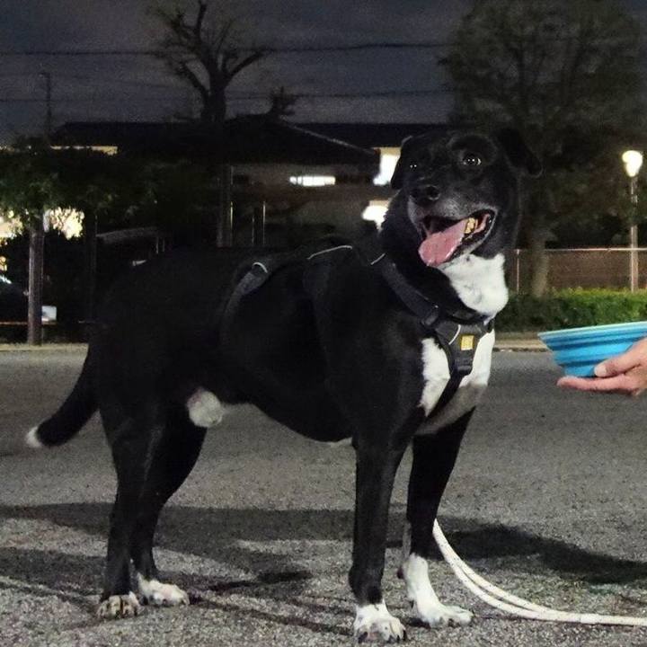 4f472230 d07a 45dd b312 2c5440f5fb7b 1664103396310