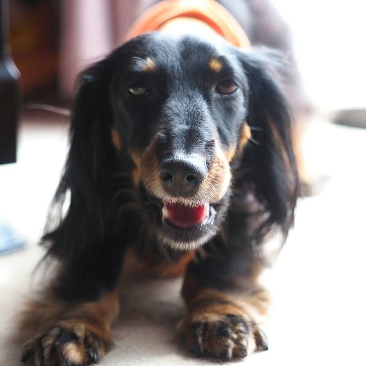 4f4722d9 ac4e 4fa2 bfa7 39d5b83658ec 1551926544682