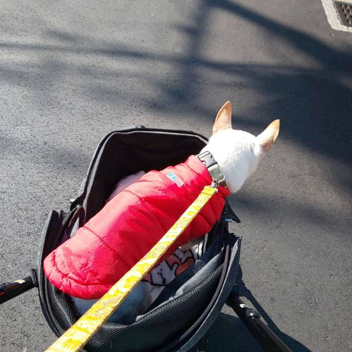 4f47239d e399 42ab ad05 ce6143e09afe 1553560915760