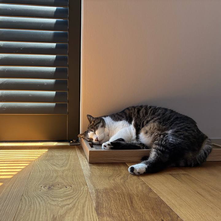 4f473ddf 9822 4a59 a886 cc725d82460b 1756695309105