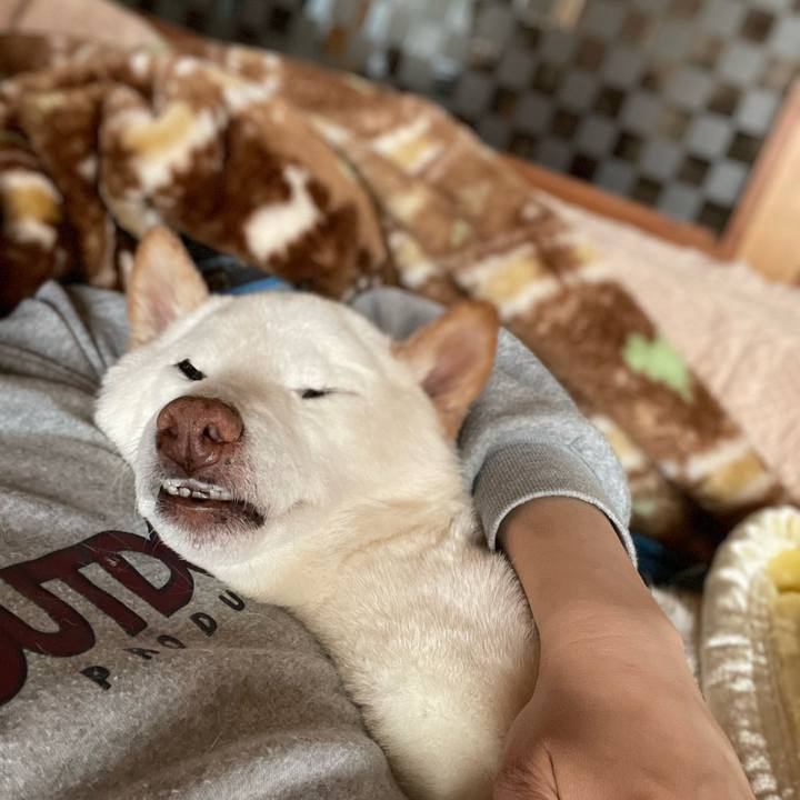 4f47db9f 6c95 4b46 a483 c57f07c1a9d8 1645979350111