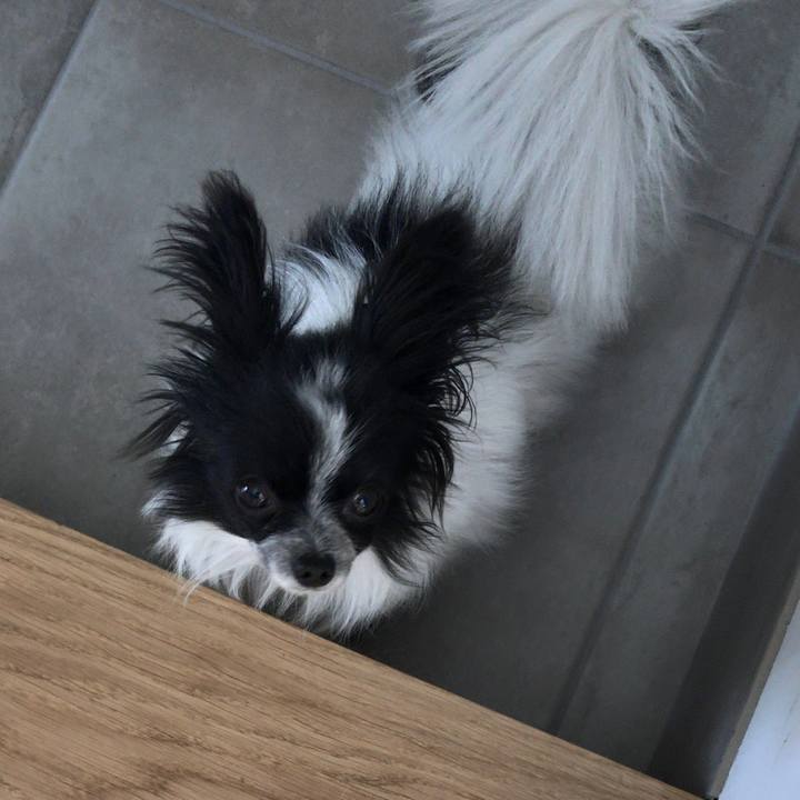 4f47f142 7386 47f8 ac94 ff6185896c86 1514875535602