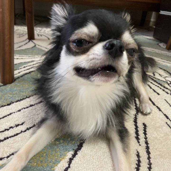 4f486c84 fd8d 4d0f be00 fa0ed2e4e2a2 1624766018704