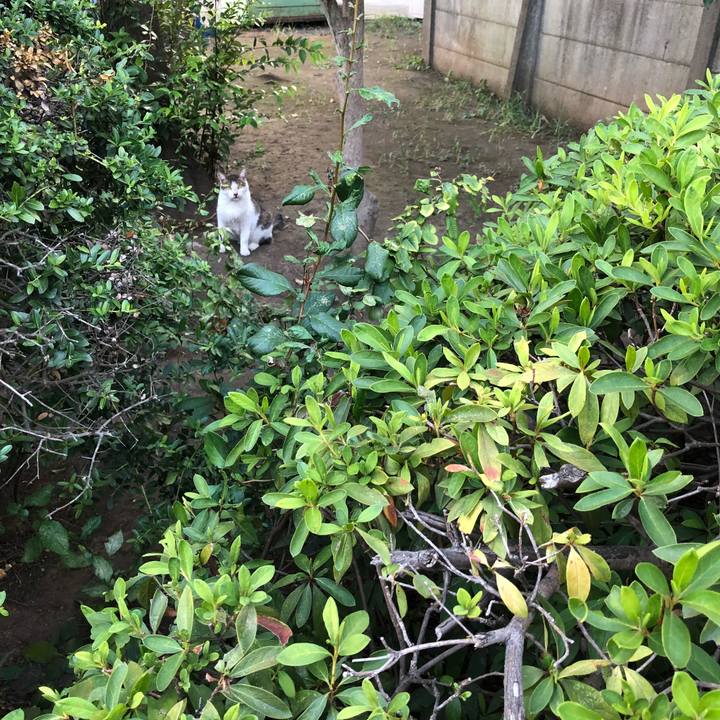 4f487ee9 8c14 47f9 ac8e 26bd366f7d48 1535657275114