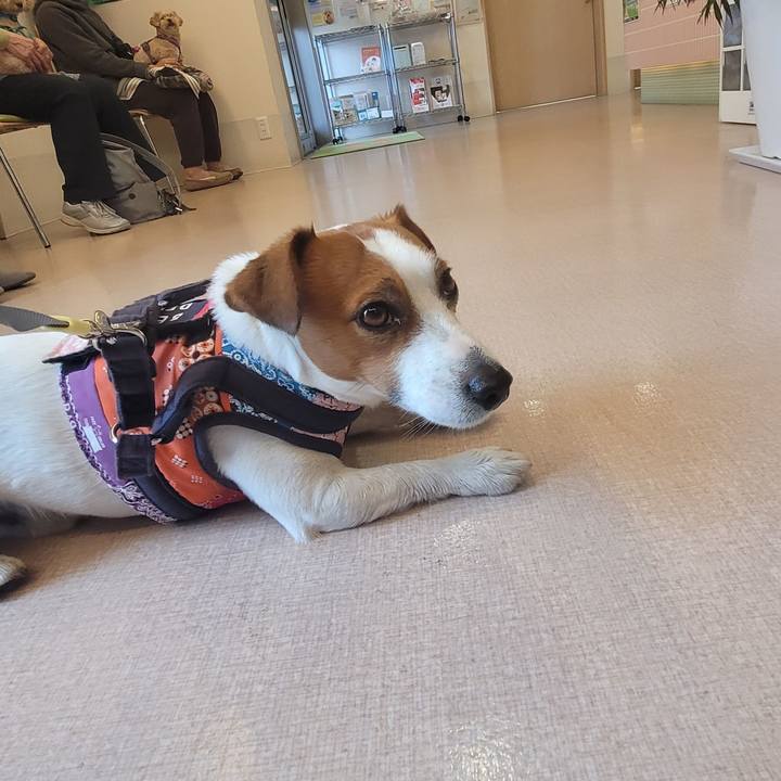 4f48866c d0e7 429f a3a1 c2d6c354dadb 1711953559727