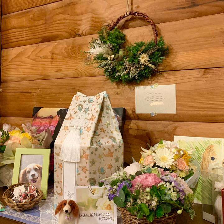 4f488e9c 137b 4591 8a3f 5d3aebbeb4c0 1624363128675