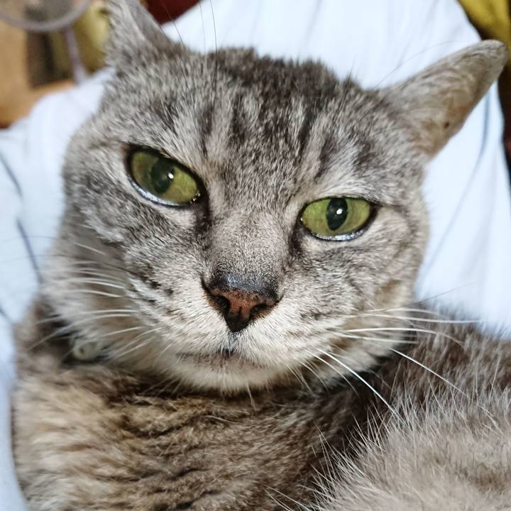 4f48f693 bc91 473c b95f 1648b7330247 1568202015402