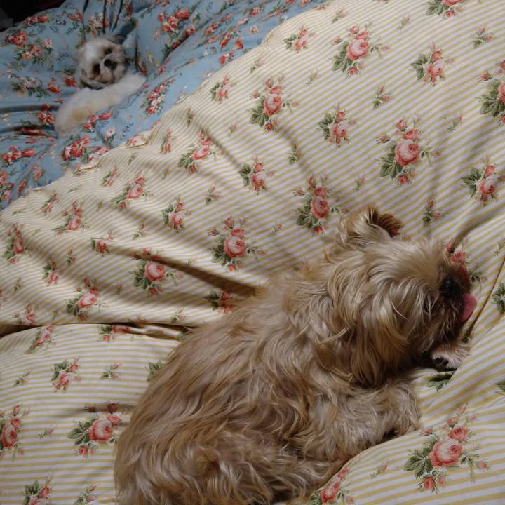 4f48fe13 6b52 4e2e 9d56 a43ed656a57c 1608821121143