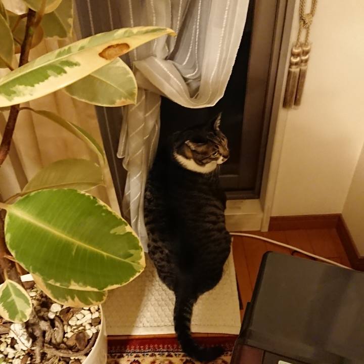 4f4921d6 2e13 4ae0 852c dfdecd3cf128 1520945403844