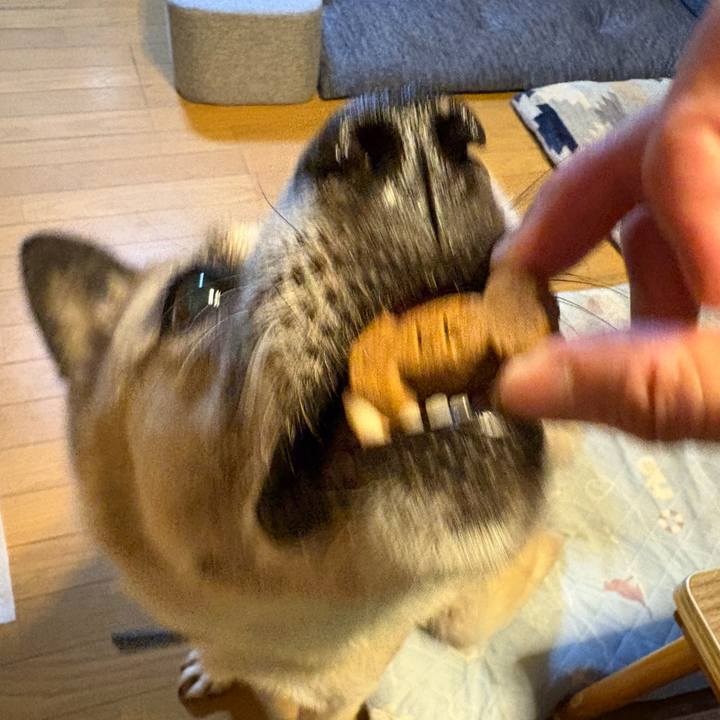 4f493685 2e03 4c2e 828b 6dc1ea3f033c 1757330171068