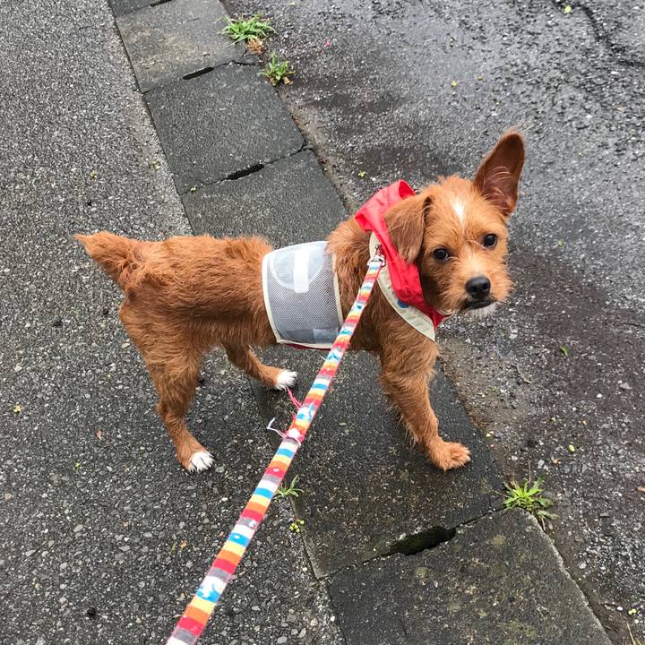 4f494fd8 bd48 47a1 b01e e2156aed6a36 1532825310698