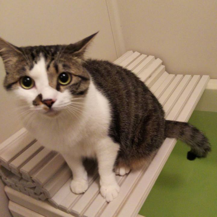 4f497a75 b9e9 4748 a4a3 7fa95998926e 1651583002416