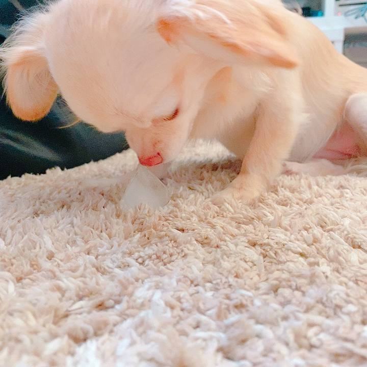 4f49b313 9573 4293 9dde 4e707ddcd428 1623311013316