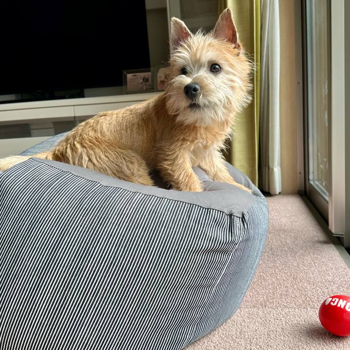 4f49debd 9318 4381 836e 96a4612bdd10 1707478749529