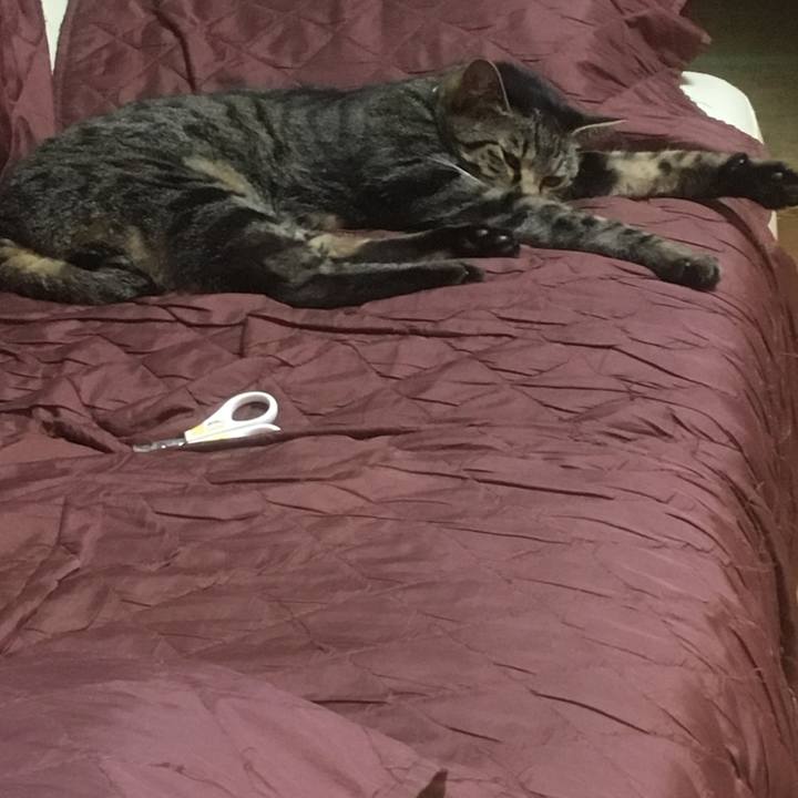 4f4a1407 57ae 4043 b5d2 129fecc46e3e 1551091180345