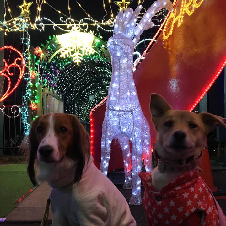 4f4a4e10 1a7d 4512 9ae9 f4022e5b9a43 1512837011709