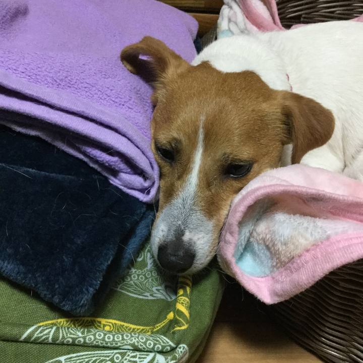 4f4a4e24 7a26 4703 a678 ca80c5f8aa71 1526208076432