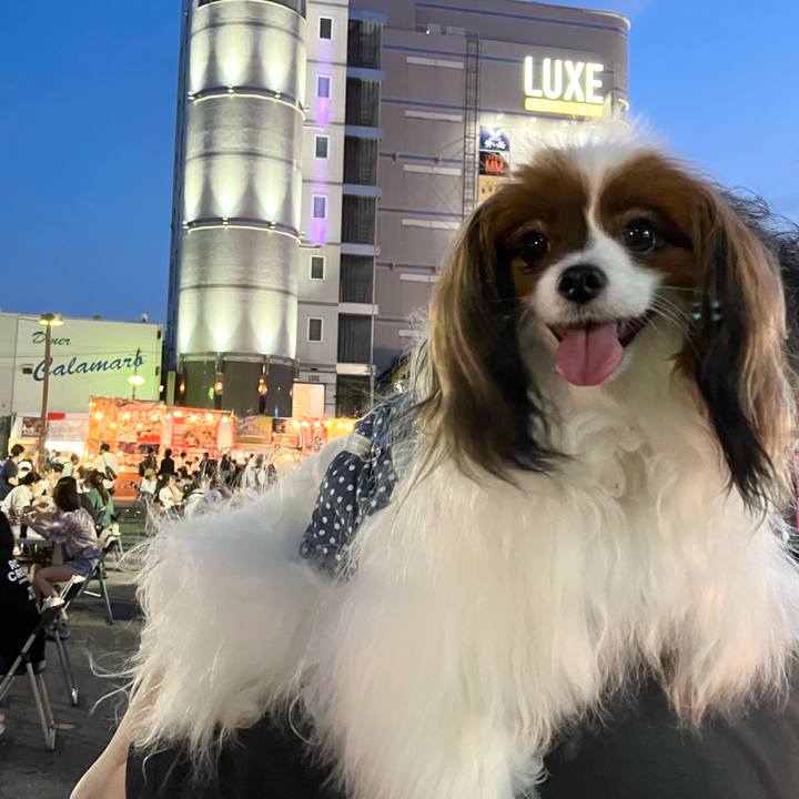 4f4a5165 9702 4591 84ab c28b0358b431 1691148590566