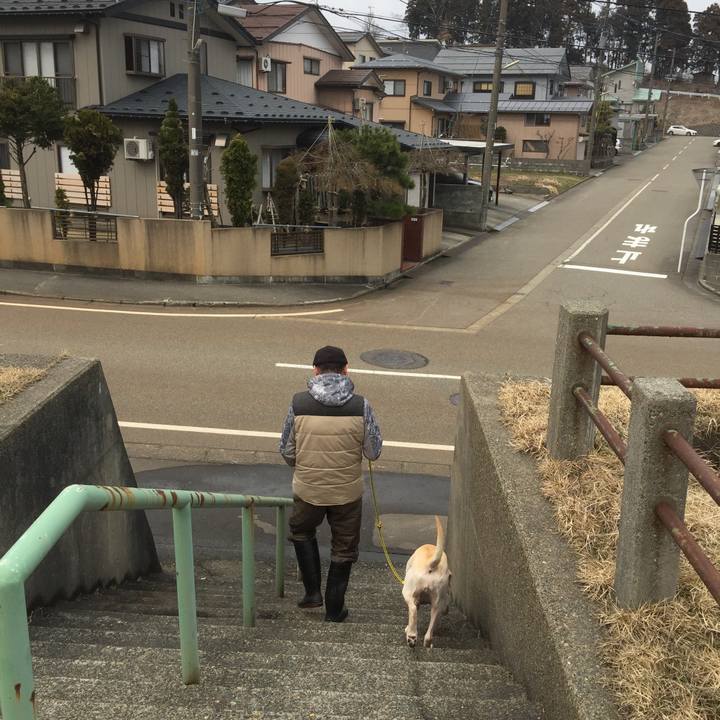 4f4a51b1 e992 41bc 965c 52e6b7f36534 1584425980232