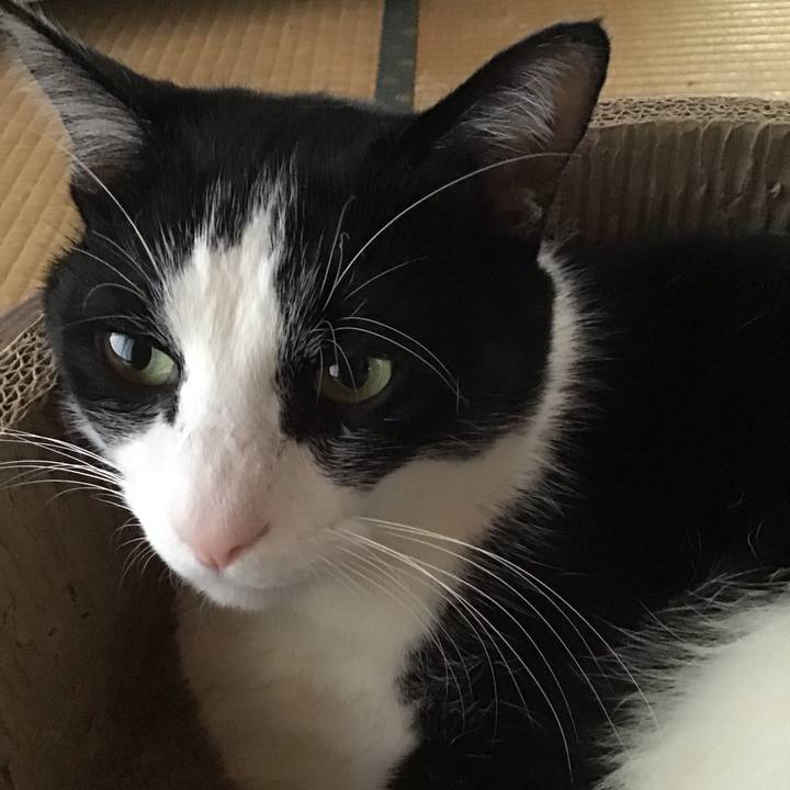 4f4a6884 a07d 449d b803 0a68d16268fd 1734080030752