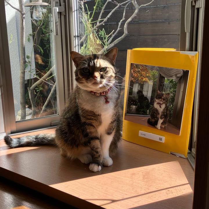 4f4a95be e058 4d98 9a71 feba32d1f3f0 1768011145266