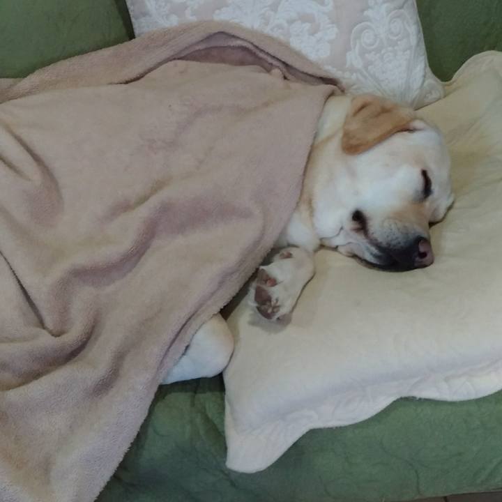 4f4a9faa 1e94 4258 9b79 5f6a173c533e 1515914604625