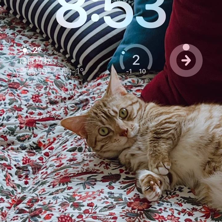 4f4aa03f 47ab 4033 a952 014ffd77c4db 1675554885784