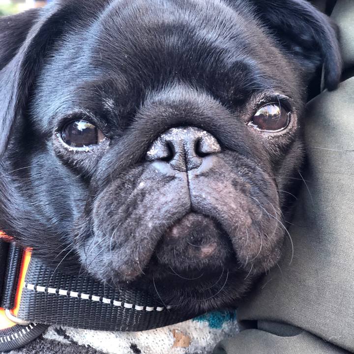 4f4aa86c 2638 4a93 969e d5e585156a5d 1609493109688