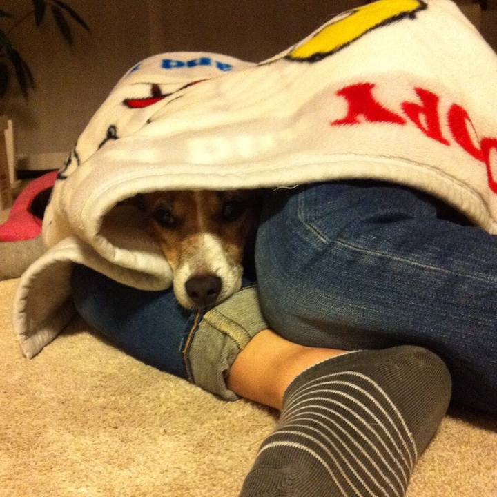 4f4ad39d 3377 4882 b7fb 8e97c7d2e684 1508943218770