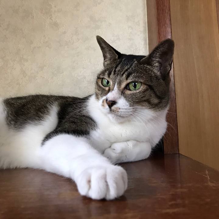 4f4ae69c 269e 4b77 937d 75184f9ee8a2 1534293951352