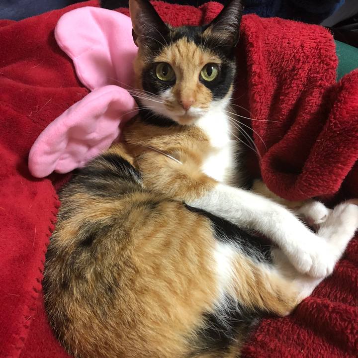 4f4b21aa cdcf 4620 b704 f0384fdff18c 1525871259175