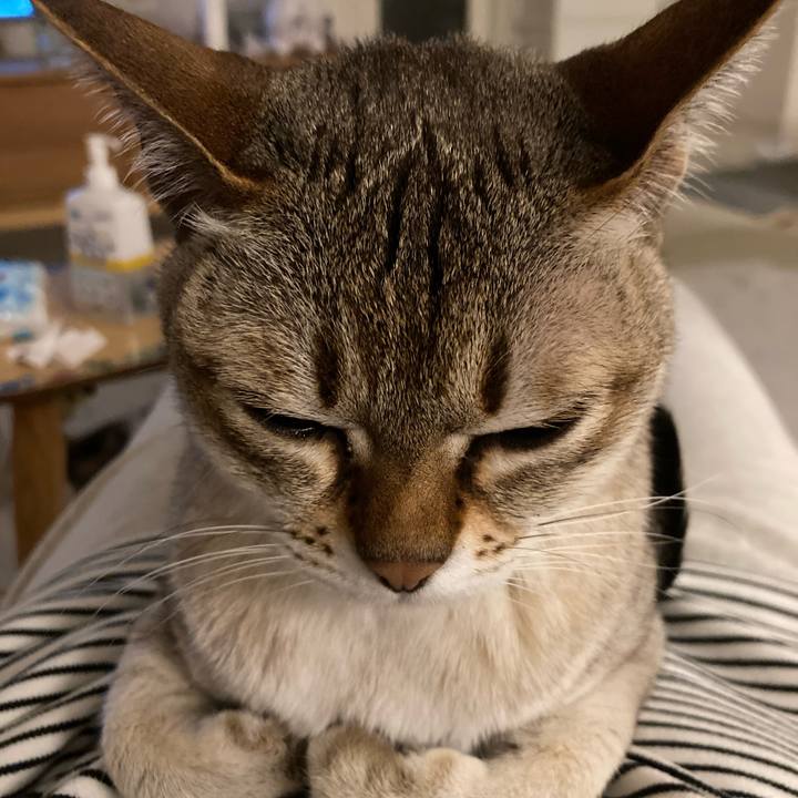 4f4b40f9 d94e 456e 9476 8ee468e846d8 1715529209674