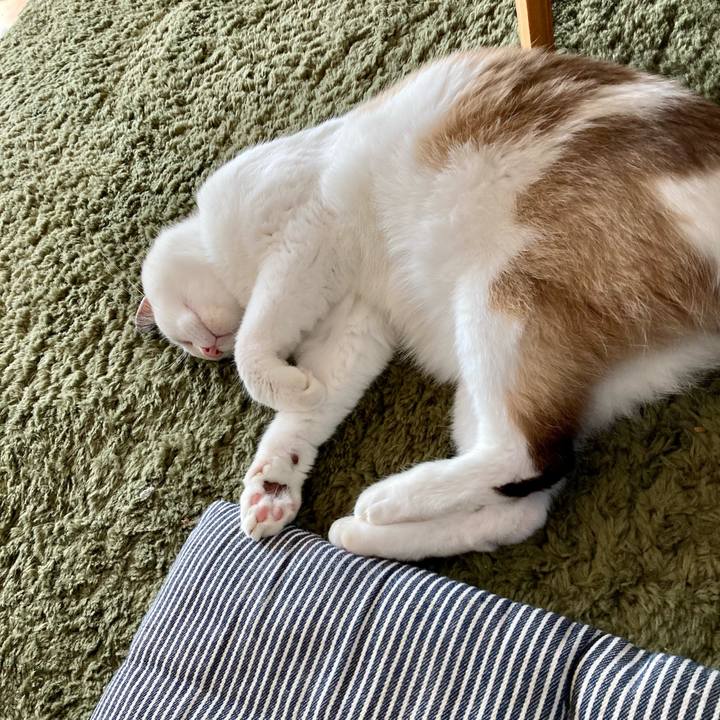 4f4b7bc0 5edc 46aa ab13 9369ce84e9a9 1633323802917