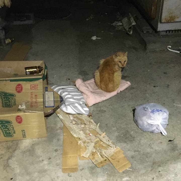 4f4b90a9 e472 4157 b92b ef9b32496724 1608684694072