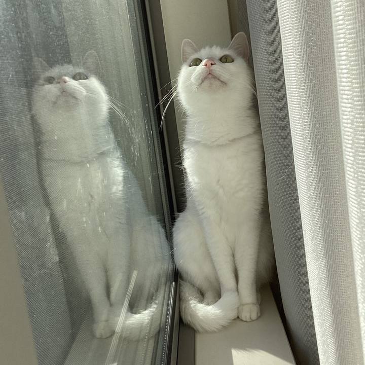 4f4bb2d1 849d 4391 aaa0 b7c79fbfd590 1763961335873