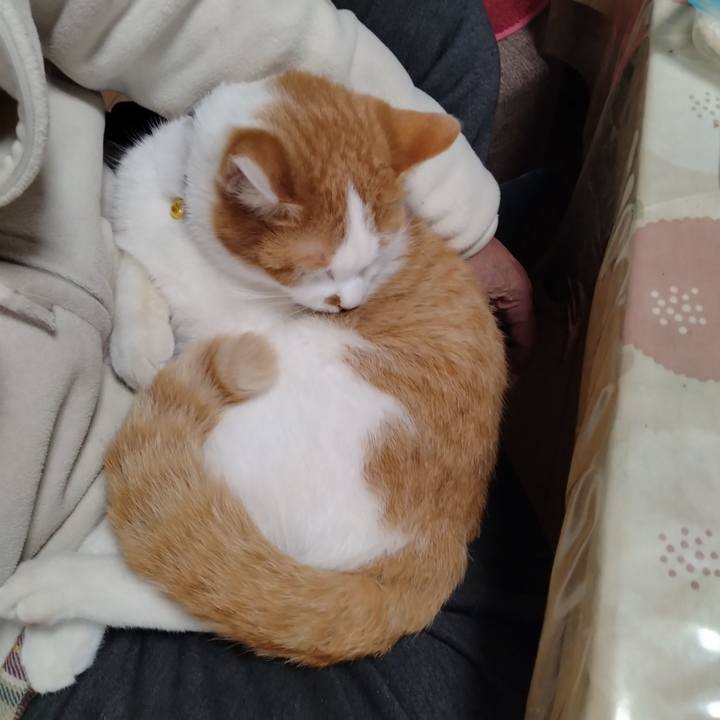 4f4bb40b 6420 4f45 9dc0 8f238d895314 1769505241143