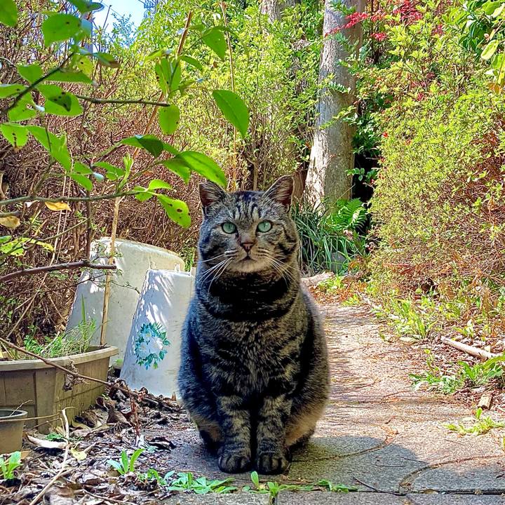 4f4bc2ef 19e5 4ee5 8806 4613355940aa 1650433767496