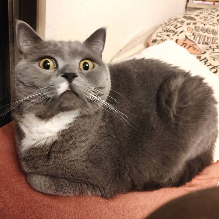 4f4c1f30 5afe 4998 8fe9 83c6a030e59c 1601891126997