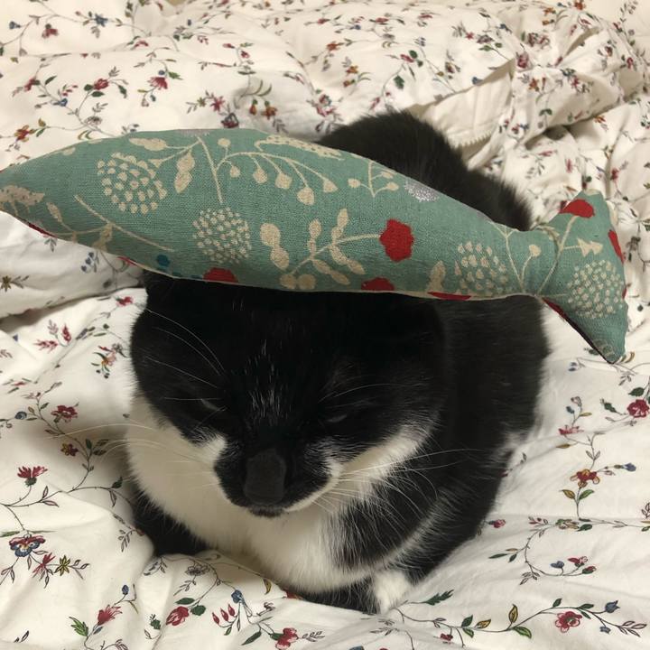 4f4c2ac2 06ff 4f46 a5c2 4c9457229408 1564613939354