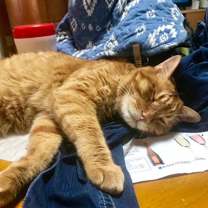 4f4c62da 7017 49bf 9118 5f713b172385 1533433088177