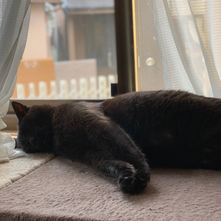 4f4c9fcf 3675 4cfe 9e5c 92ce4203d1b1 1596501543268