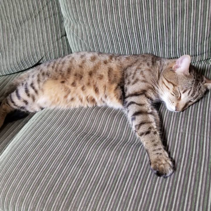 4f4cd389 0acd 472d a1cd 6a7cd94d575e 1609772881938