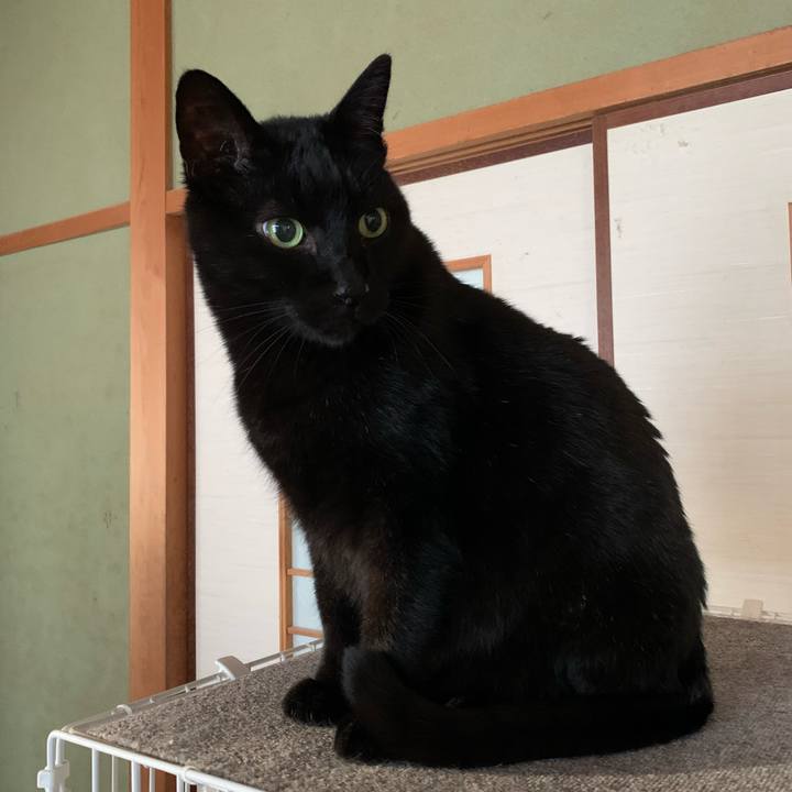 4f4cdc31 bb14 43cf b850 d713af6d31b8 1578618703224