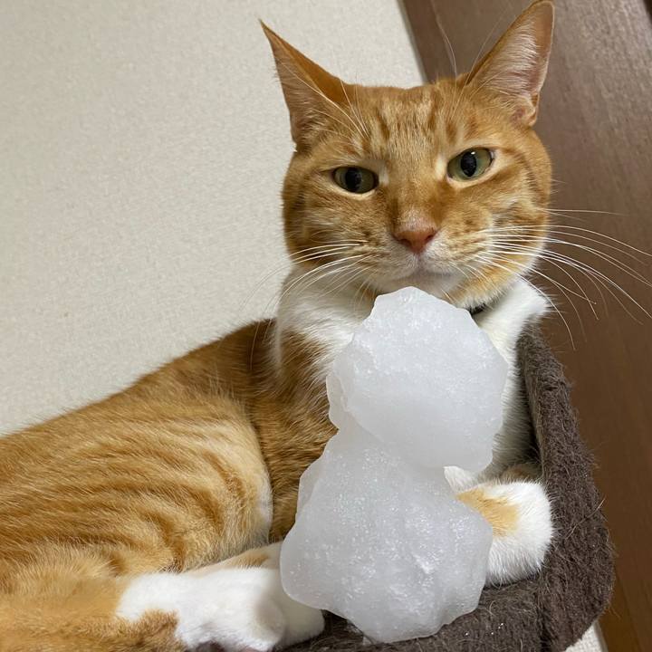 4f4d1ac2 2262 49dc 9b6e df27df3e5ed6 1707140261719